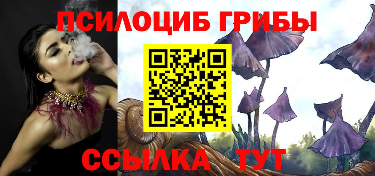 Галлюциногенные грибы Psilocybine cubensis  Галлюциногенные грибы Psilocybine cubensis  Десногорск  Вход с VPN 