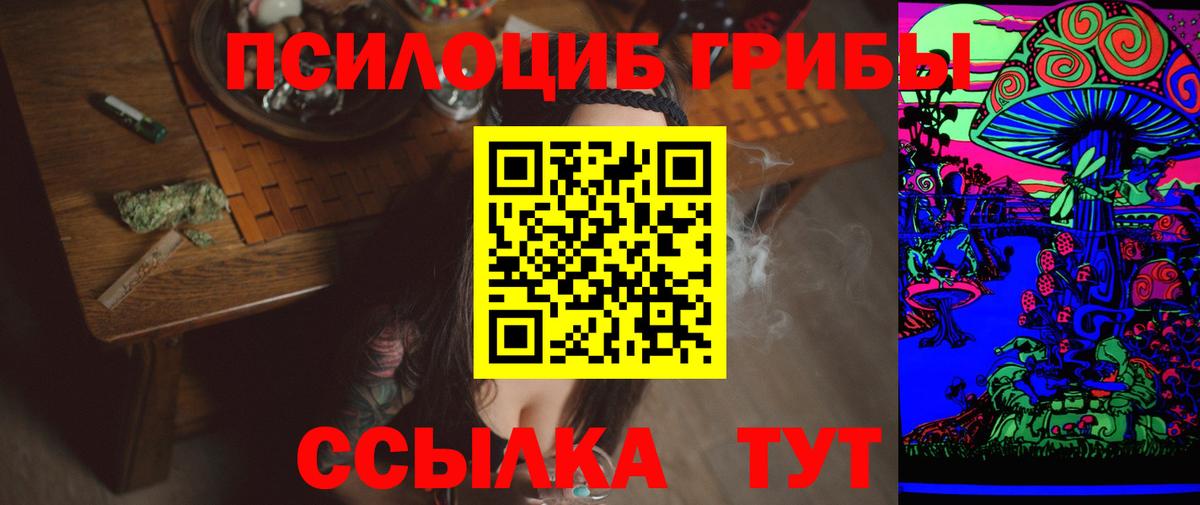 Псилоцибиновые грибы мицелий Десногорск